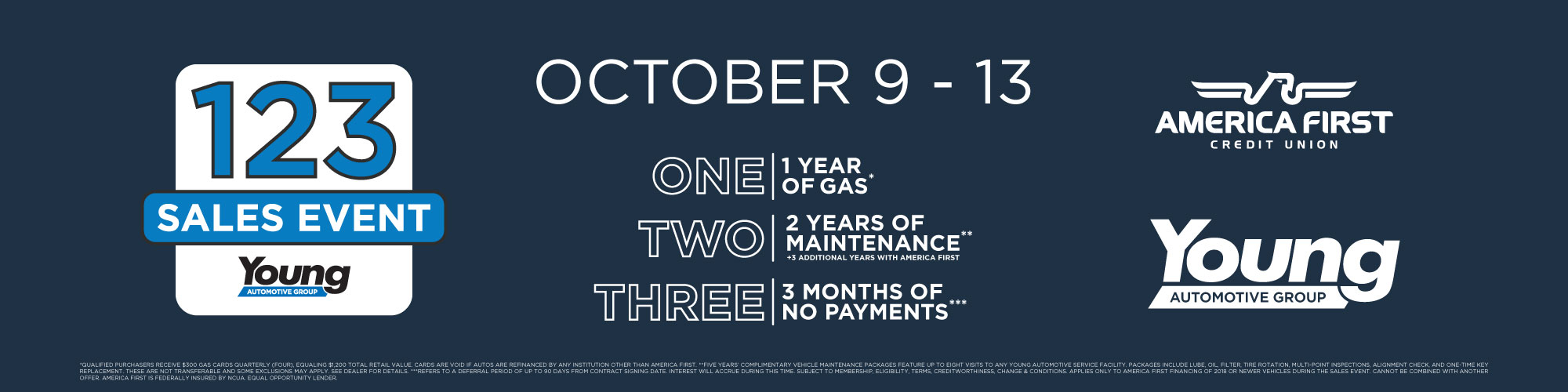 Young Automotive Group Sale Graphics